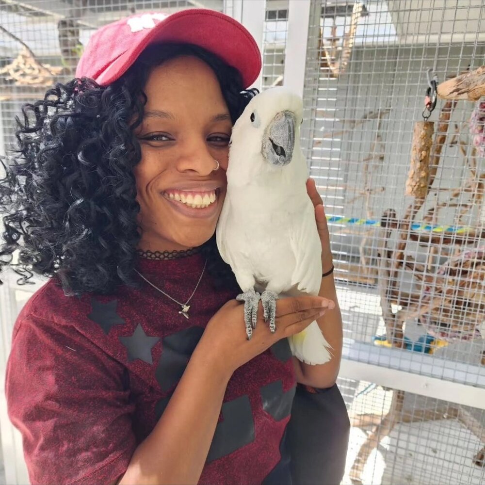 Meet your Posher, Kandy